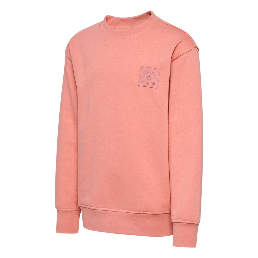 hummel-jr-clean-crew-sweatshirt-226261-4128-boerne-sweatshirt-43602-rosa-a.png