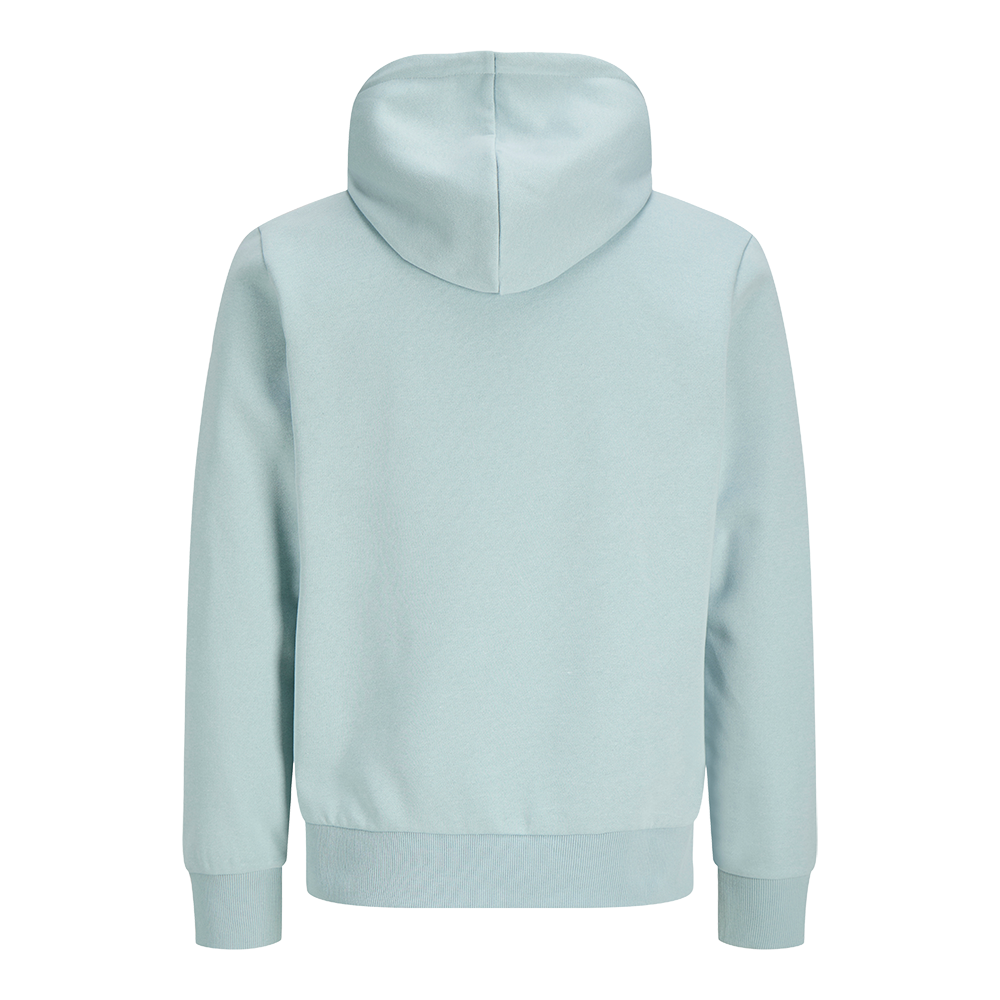 jj-rebel-logo-sweat-noos-12263852-herre-haettetroeje-44052-mint-c.png