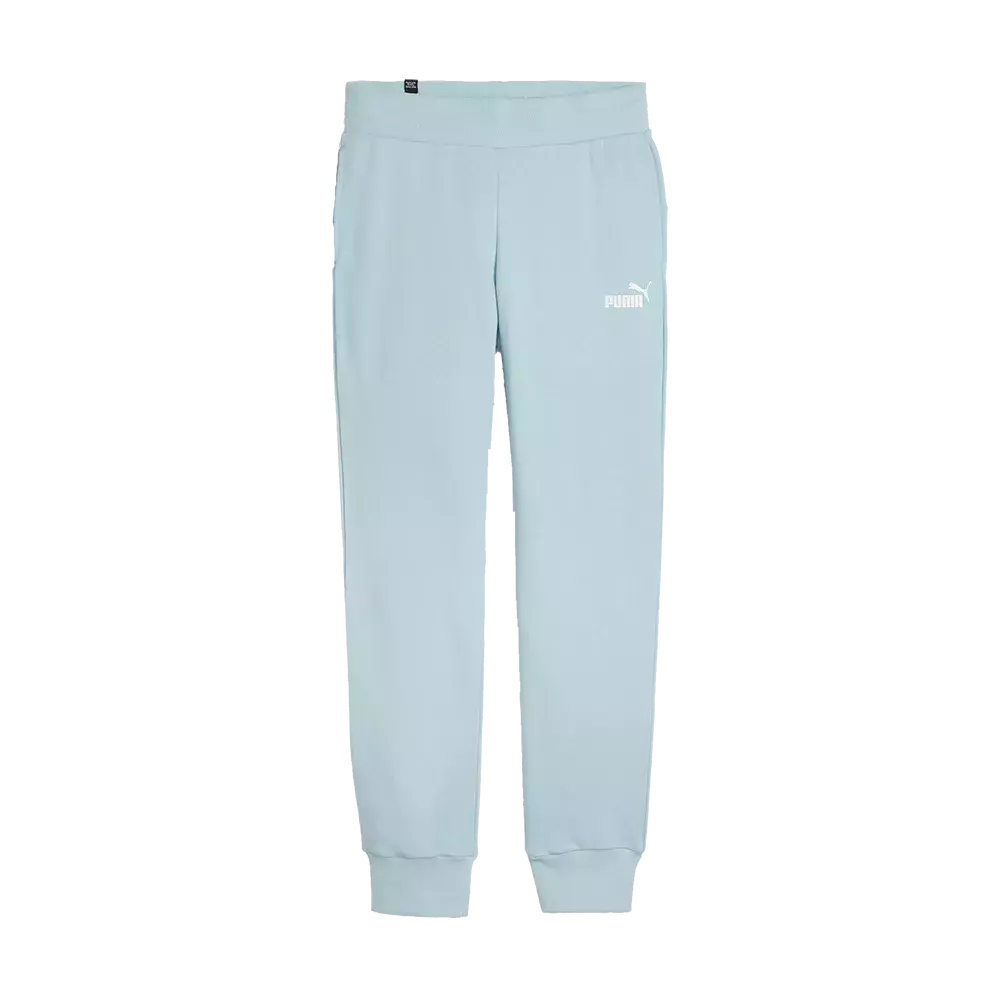 puma-w-terry-sweat-pant-586843_23-dame-sweatpants-mint-a.webp