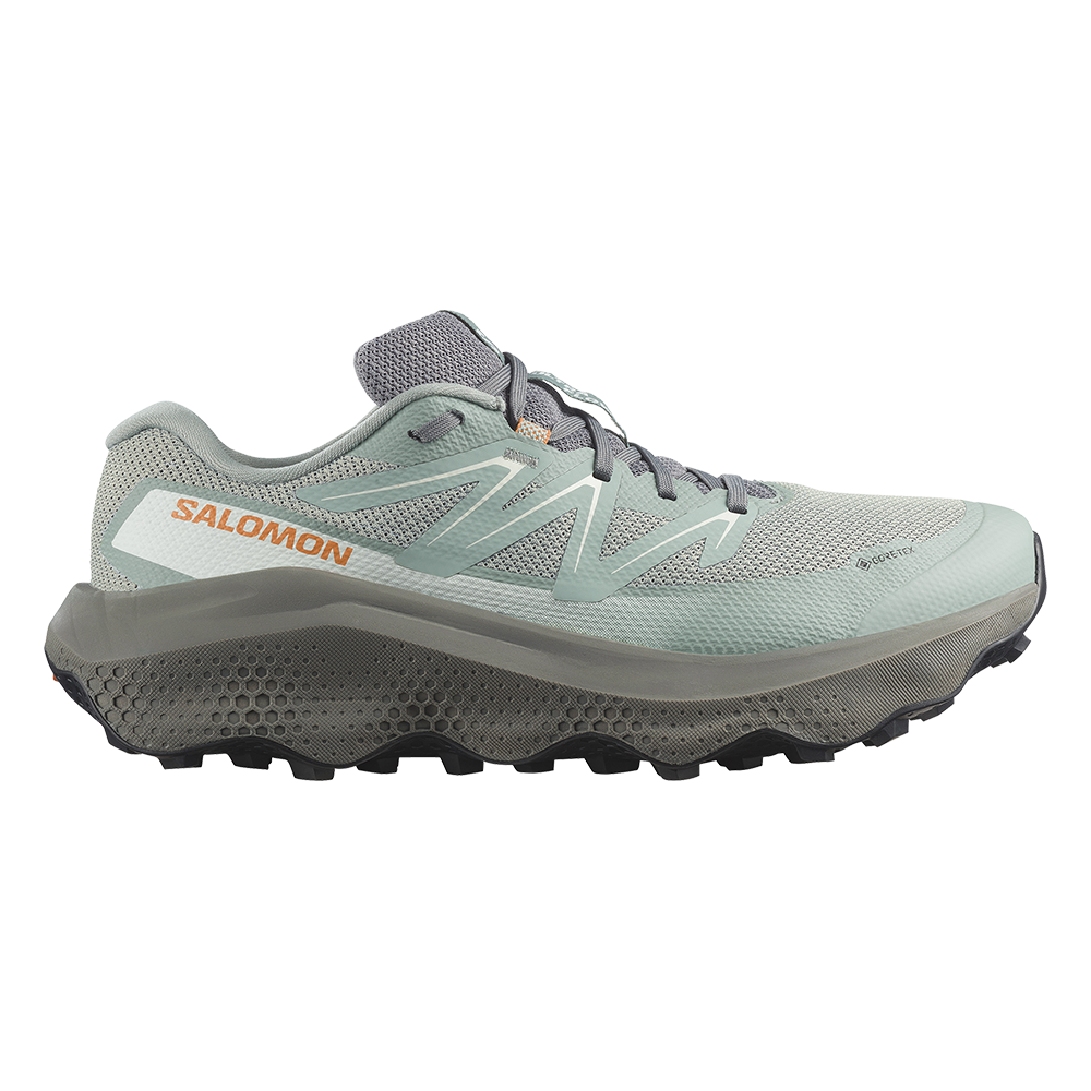 Salomon Ultra Flow 2 GoreTex - Herren Laufschuhe