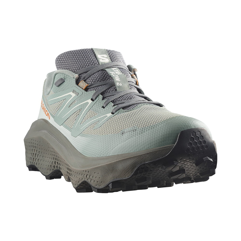 Salomon Ultra Flow 2 GoreTex - Herren Laufschuhe