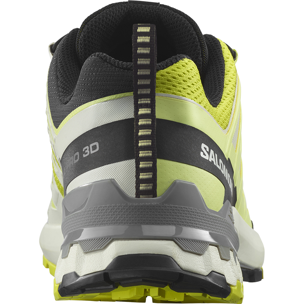 Salomon XA Pro 3D V9 - Herren Outdoor Schuhe