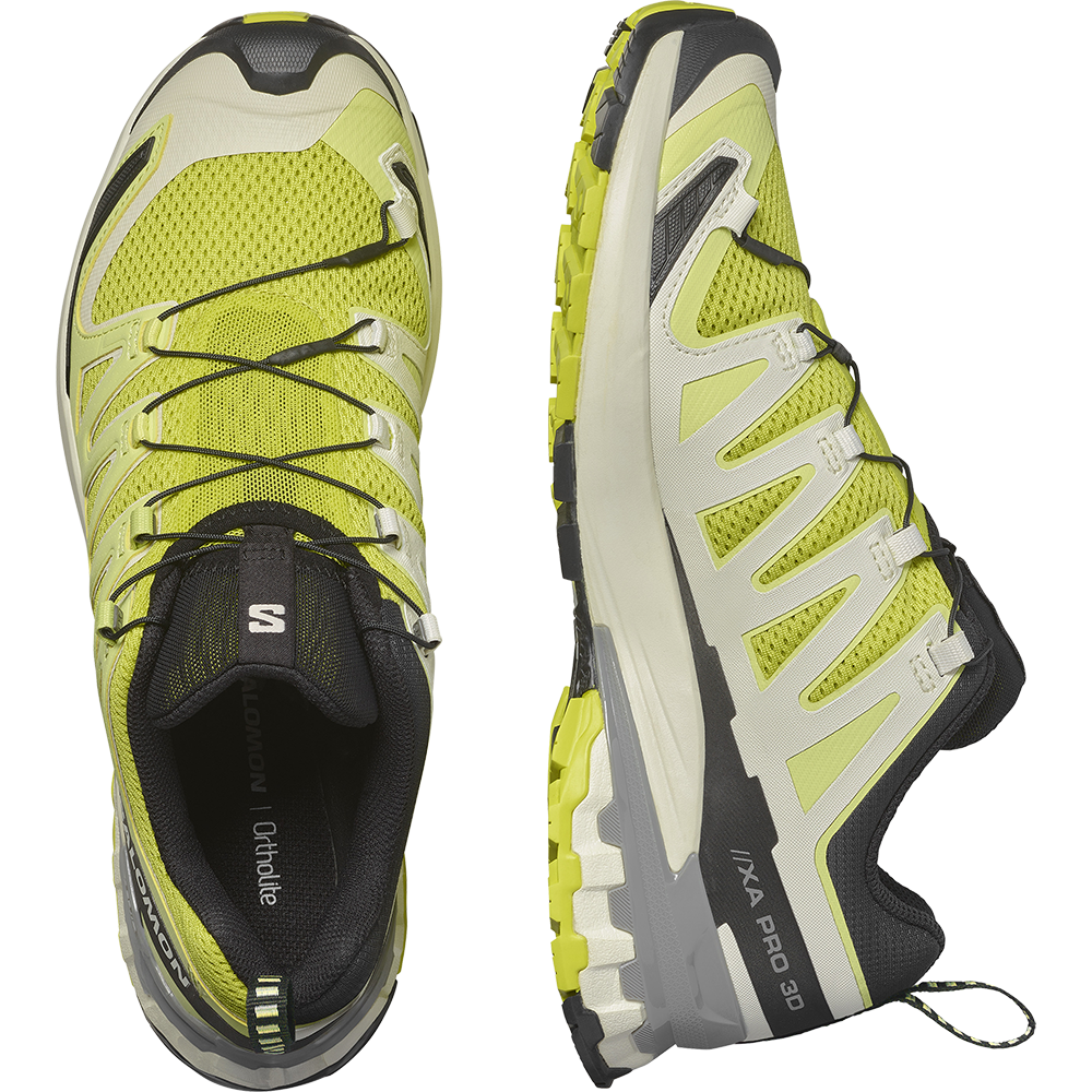 Salomon XA Pro 3D V9 - Herren Outdoor Schuhe